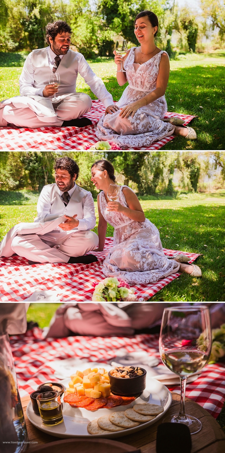 elopment-wedding-vina-emiliana-casa-blanca-chile-franythiago-38.jpg